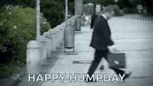 Happy Hump Day Dance GIF - Happy Hump Day Dance Humping GIFs