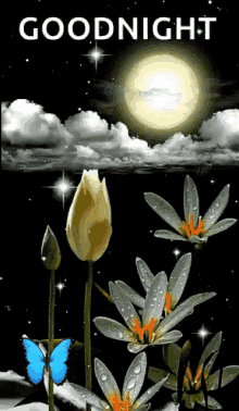 good night starry night flower moon sparkle