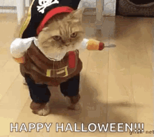 Pirate Cat Coming For Ya GIF - Pirate Cat Coming For Ya Costume GIFs