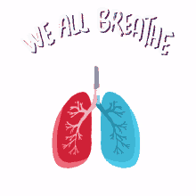 lungs air