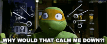 Tmnt Michelangelo GIF - Tmnt Michelangelo Why Would That Calm Me Down GIFs