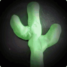 Cactus GIF - Cactus GIFs