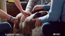 Pet The Dog Home Sweet Home GIF - Pet The Dog Home Sweet Home Getting Petted GIFs