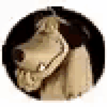 juepuya laugh