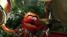 Drumming GIF - The Muppets Animal Drum GIFs