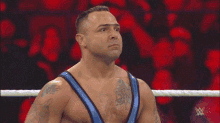 wwe santino marella wwe santino marella santino marella wwe shouts wwe santino marella wwe santino marella santino marella wwe shouts