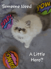 Kitten Hero GIF - Kitten Hero Cute GIFs
