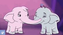 Canticos Elephants GIF - Canticos Elephants Love GIFs