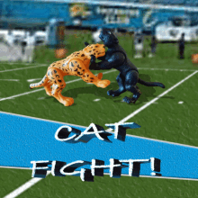 Carolina Panthers Jacksonville Jaguars GIF - Carolina Panthers Jacksonville Jaguars Carolina GIFs