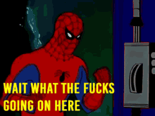 Wait What Spidey Wtf Is Going On GIF - Wait What Spidey Wtf Is Going On GIFs