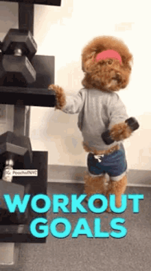 workout dog goals working out exercise
