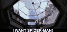 I Want Spider Man GIF - I Want Spider Man Give Me GIFs