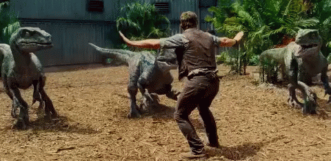 Chris Pratt Jurassic Park Jurassicpark GIF - Jurassic World Chris Pratt Dinosaur Whisperer GIFs