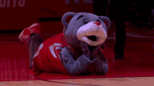 Houston Rockets Clutch The Bear GIF - Houston Rockets Clutch The Bear Lying Down GIFs