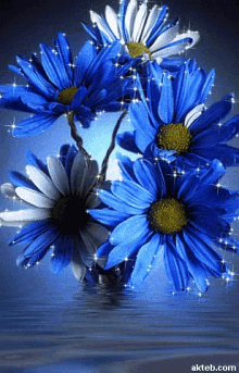 Saturday Glitter Flowers GIF - Saturday Glitter Flowers Blue GIFs