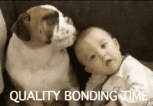 Quality Bonding Time GIF - Bonding Qt Quality Time GIFs