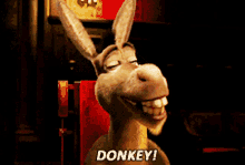 smile donkey