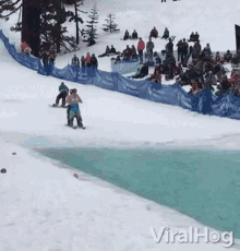 water skiing  Skiing-drinking