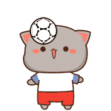 soccer mochi