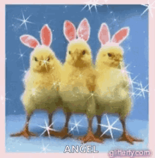 Happy Easter Chicks GIF - Happy Easter Chicks Bunny Ears GIFs