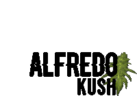 Alfredokush Sticker - Alfredokush Stickers