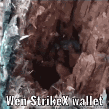 strike x wallet wen wen wallet when