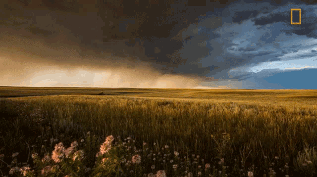 storm-is-coming-world-meteorological-day.gif