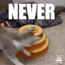 Never Give GIF - Never Give Up GIFs