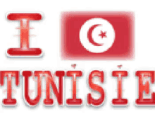 Tunisie GIF - Tunisia Tunisie GIFs