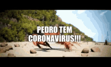 n%C3%A3o sei n%C3%A3o sei