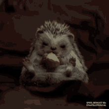 staatsloterij freddie hedgehog egel eating