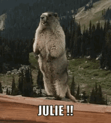 Juliiie Julie GIF - Juliiie Julie Hey GIFs