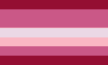 lesbian flag bisexual flag transgender flag pansexual flag asexual flag