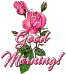 Good Morning Flower GIF - Good Morning Flower Pink Flower GIFs