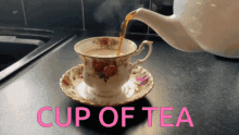 Cup Of Tea Cuppa GIF - Cup Of Tea Cuppa Hot Cup Of Tea GIFs