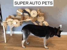 Super Auto Pets Dog GIF - Super Auto Pets Pet Dog GIFs