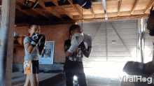 boxing training punching sparring exercise