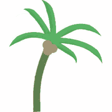 lu miranda lu miranda asesoria de imagen be yourself inside out palm tree