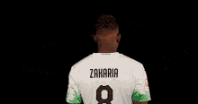 Denis Zakaria Borussia GIF - Denis Zakaria Zakaria Borussia GIFs