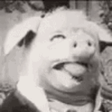 Pig Creepy GIF - Pig Creepy Scary GIFs