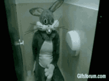Bunny Comfort Room GIF - Bunny Comfort Room Awkward GIFs