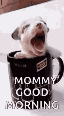 Puppy Cup GIF - Puppy Cup Good GIFs
