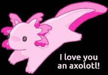 I Love You An Axolotl Ollie Axolotl GIF - I Love You An Axolotl Ollie Axolotl Cute Axolotl GIFs