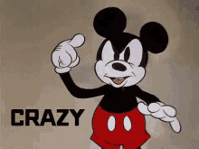mickey crazy mickey mouse mad nuts insane