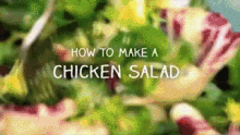 Salad Chicken Salad GIF - Salad Chicken Salad No Meat GIFs