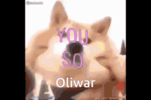 oliwar philip hjalmar youre so fucking precious when you