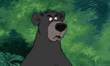 The Jungle Book Baloo GIF - The Jungle Book Baloo Bear GIFs