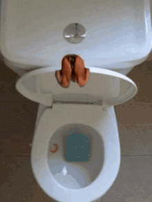 dive toilet