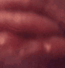 Lips Pussylips GIF - Lips Pussylips Tongue GIFs