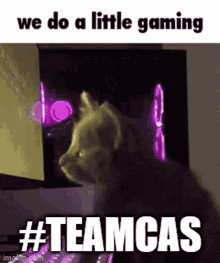 teamcas we do a little gaming gamer cat cat gaming deltarune